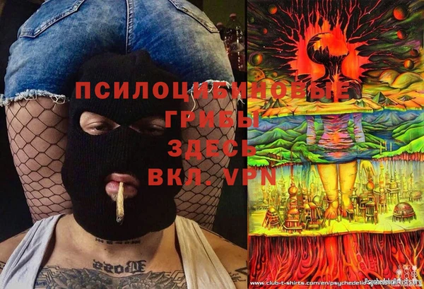 дурь Елизово