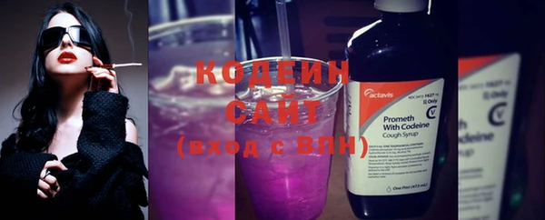 дурь Елизово