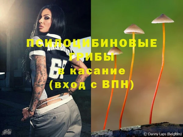 дурь Елизово